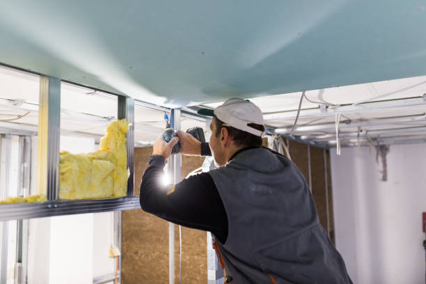 Best Insulation Maintenance and Repair in Junction City, CA